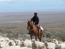 Sdamerika, Chile - Argentinien: Auf den Spuren des Kondors - Gaucho bei der Arbeit